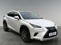 Lexus NX 300h Nx300h Weiß - thumbnail 7