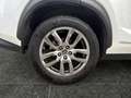 Lexus NX 300h Nx300h Weiß - thumbnail 15