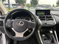 Lexus NX 300h Nx300h Weiß - thumbnail 16