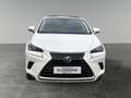 Lexus NX 300h Nx300h Weiß - thumbnail 8