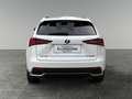 Lexus NX 300h Nx300h Weiß - thumbnail 4