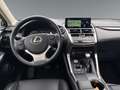 Lexus NX 300h Nx300h Weiß - thumbnail 10