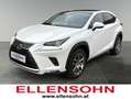 Lexus NX 300h Nx300h Weiß - thumbnail 1