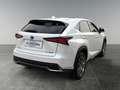 Lexus NX 300h Nx300h Weiß - thumbnail 5