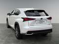 Lexus NX 300h Nx300h Weiß - thumbnail 3