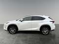 Lexus NX 300h Nx300h Weiß - thumbnail 2