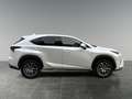 Lexus NX 300h Nx300h Weiß - thumbnail 6