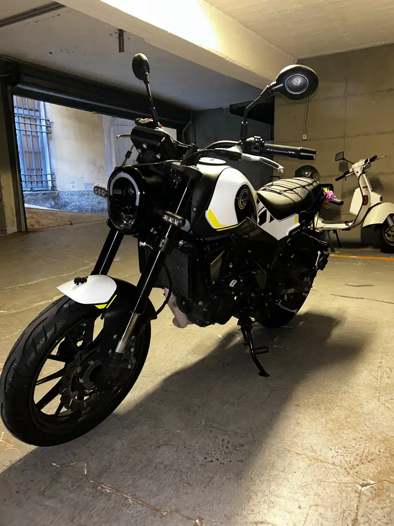 Benelli Leoncino Weiß - 2