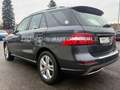 Mercedes-Benz ML 350 CDI BlueTec 4 Matic/360° Kamera/Massage Grijs - thumbnail 6