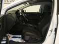 SEAT Leon 2.0TDI CR S&S 4Drive DSG6 150 Blanc - thumbnail 13