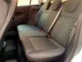 Ford B-Max 1.0 EcoBoost Trend Gris - thumbnail 17