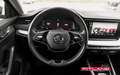 Skoda Octavia Combi 2.0 TDi EDITION Clever DSG / VIRTUAL / ATTEL Zwart - thumbnail 21