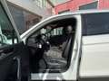 SEAT Tarraco 2.0TDI S&S Xcellence DSG-7 150 Bianco - thumbnail 10