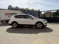SEAT Tarraco 2.0TDI S&S Xcellence DSG-7 150 Bianco - thumbnail 6
