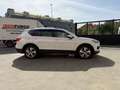 SEAT Tarraco 2.0TDI S&S Xcellence DSG-7 150 Bianco - thumbnail 5