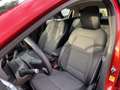 Renault Clio V Intens Klima Navi Rückfahrkamera Fenster el. Rot - thumbnail 11