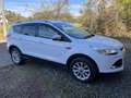 Ford Kuga titanium business 4wd - thumbnail 3