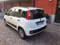 Fiat Panda Panda III 2012 1.2 Easy 69cv E6 Bianco - thumbnail 4