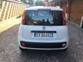 Fiat Panda Panda III 2012 1.2 Easy 69cv E6 Bianco - thumbnail 6