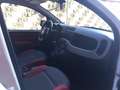 Fiat Panda Panda III 2012 1.2 Easy 69cv E6 Bianco - thumbnail 11