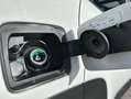 Jeep Renegade 1.0 Sport 4x2 Blanco - thumbnail 23