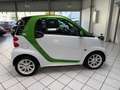 smart forTwo fortwo coupe electric drive KLIMA PANO Weiß - thumbnail 8