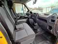 Renault Master Master Kasten L2H2 2,3 dCi 130 Anhängerkupplung Orange - thumbnail 11