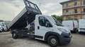 Fiat Ducato 35 2.3 MJT 130CV PL Maxi Ribaltabile trilaterale Bianco - thumbnail 1