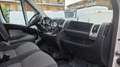 Fiat Ducato 35 2.3 MJT 130CV PL Maxi Ribaltabile trilaterale Bianco - thumbnail 11