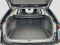 Skoda Octavia Combi 1.5TSI DSG Selection AHK-Vor LED N Schwarz - thumbnail 12