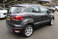 Ford EcoSport 1.0 EcoBoost 125pk Titanium, Driver Assistance, Wi Grijs - thumbnail 19