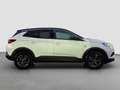 Opel Grandland X 1.2 Turbo Edition 2020 Camera | Parkeersensoren | Wit - thumbnail 6