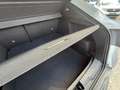 Renault Arkana R.S.-LINE TCE 160 EDC/360KAMERA/PANORAMA/PDC/CARPL Blanc - thumbnail 15