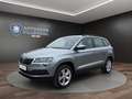 Skoda Karoq 1.0 TSI Ambition SHZ+PDC+FREISPRECH+MFL+LM Klima Grau - thumbnail 1
