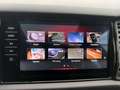 Skoda Kodiaq 2.0 BiTDI RS 4x4/MEGA VOLL!! Grau - thumbnail 19