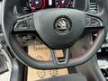 Skoda Kodiaq 2.0 BiTDI RS 4x4/MEGA VOLL!! Grau - thumbnail 13