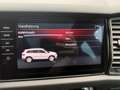 Skoda Kodiaq 2.0 BiTDI RS 4x4/MEGA VOLL!! Grau - thumbnail 31