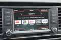 SEAT Leon Clima|Cruise|Camera|Carplay Gris - thumbnail 21