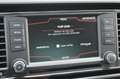 SEAT Leon Clima|Cruise|Camera|Carplay Gris - thumbnail 18
