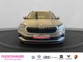 Skoda Karoq Tour 1.0 TSI Matrix-LED Pano SHZ SmartLink DAB Kli Grau - thumbnail 2