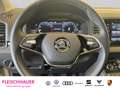 Skoda Karoq Tour 1.0 TSI Matrix-LED Pano SHZ SmartLink DAB Kli Grau - thumbnail 16