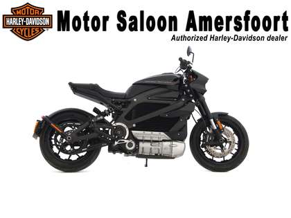 Harley-Davidson LiveWire ELW BTW-MOTOR!