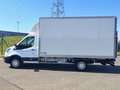 Ford Transit 2.0 TDCi 130cv CAISSE ALU / DHOLLANDIA Blanc - thumbnail 3