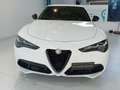 Alfa Romeo Stelvio 2.2 Turbodiesel 210 CV AT8 Q4 Veloce Blanc - thumbnail 2