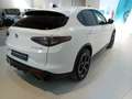Alfa Romeo Stelvio 2.2 Turbodiesel 210 CV AT8 Q4 Veloce Blanc - thumbnail 4