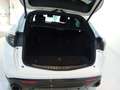 Alfa Romeo Stelvio 2.2 Turbodiesel 210 CV AT8 Q4 Veloce Blanc - thumbnail 17