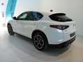 Alfa Romeo Stelvio 2.2 Turbodiesel 210 CV AT8 Q4 Veloce Blanc - thumbnail 6