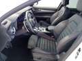 Alfa Romeo Stelvio 2.2 Turbodiesel 210 CV AT8 Q4 Veloce Blanc - thumbnail 10