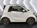 smart forTwo EQ Pulse Bianco - thumbnail 5