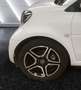 smart forTwo EQ Pulse Bianco - thumbnail 9